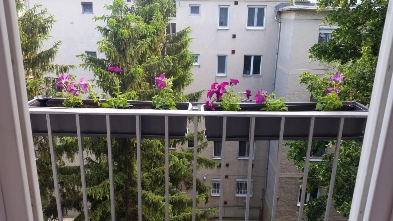 Tisza-Parti Napfeny Apartman Segedín Exteriér fotografie